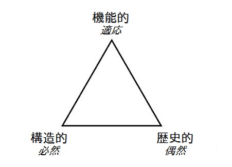 evo_triad.jpg